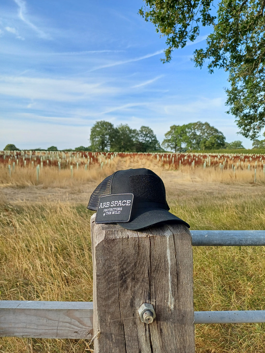 Arb Space caps