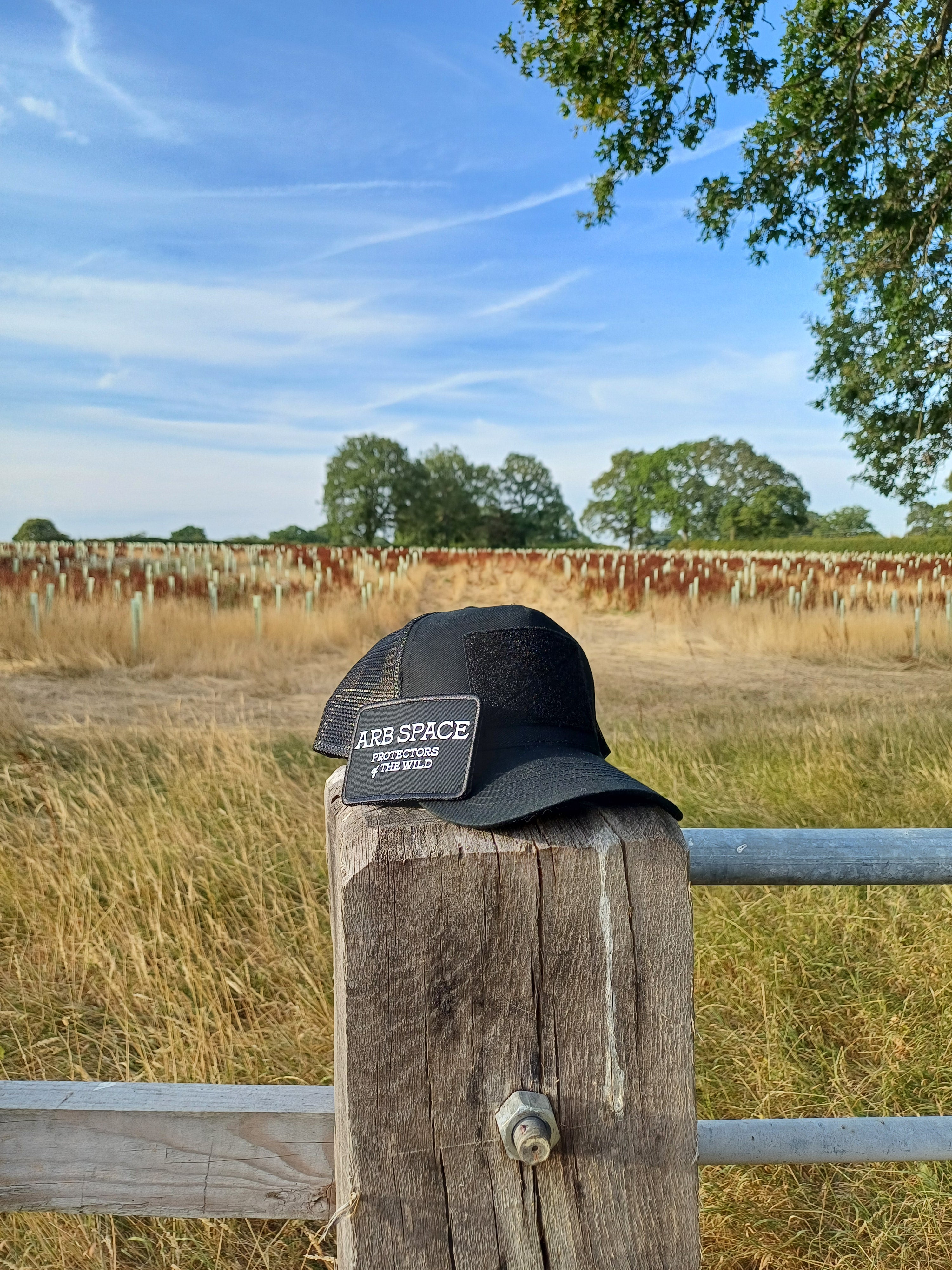 Arb Space caps