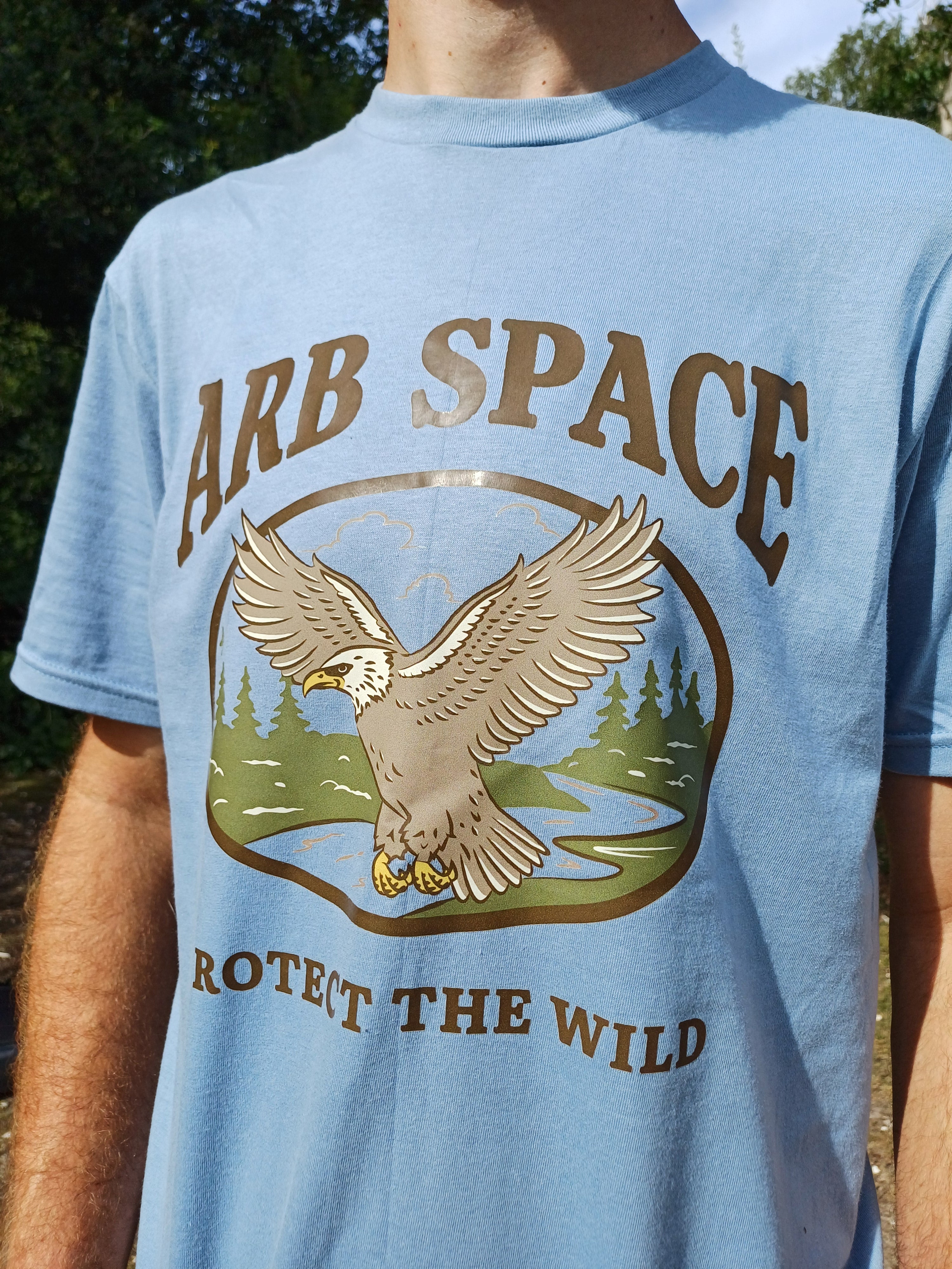 The Eagle (Blue)