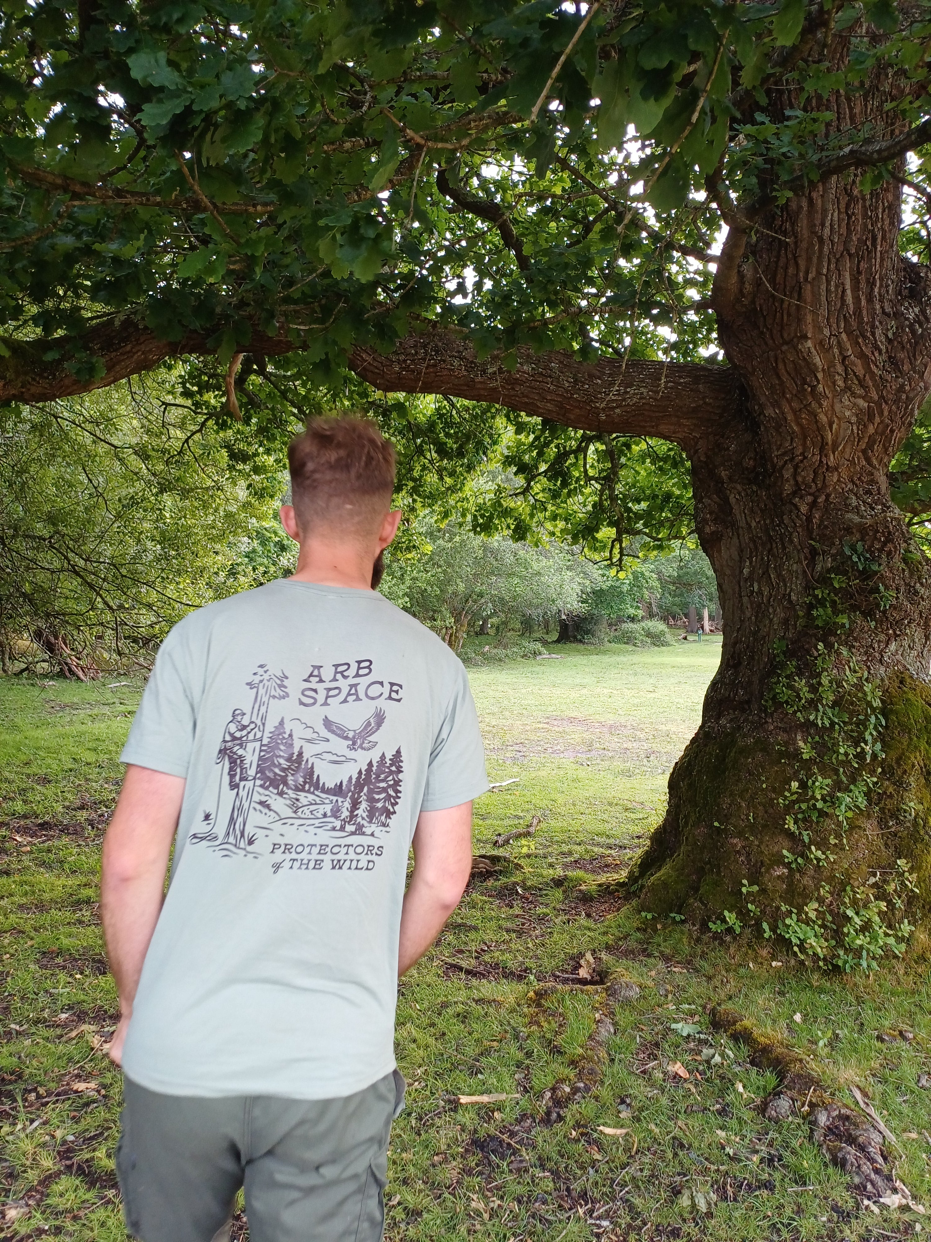 The Tree climber (Sage- Short)